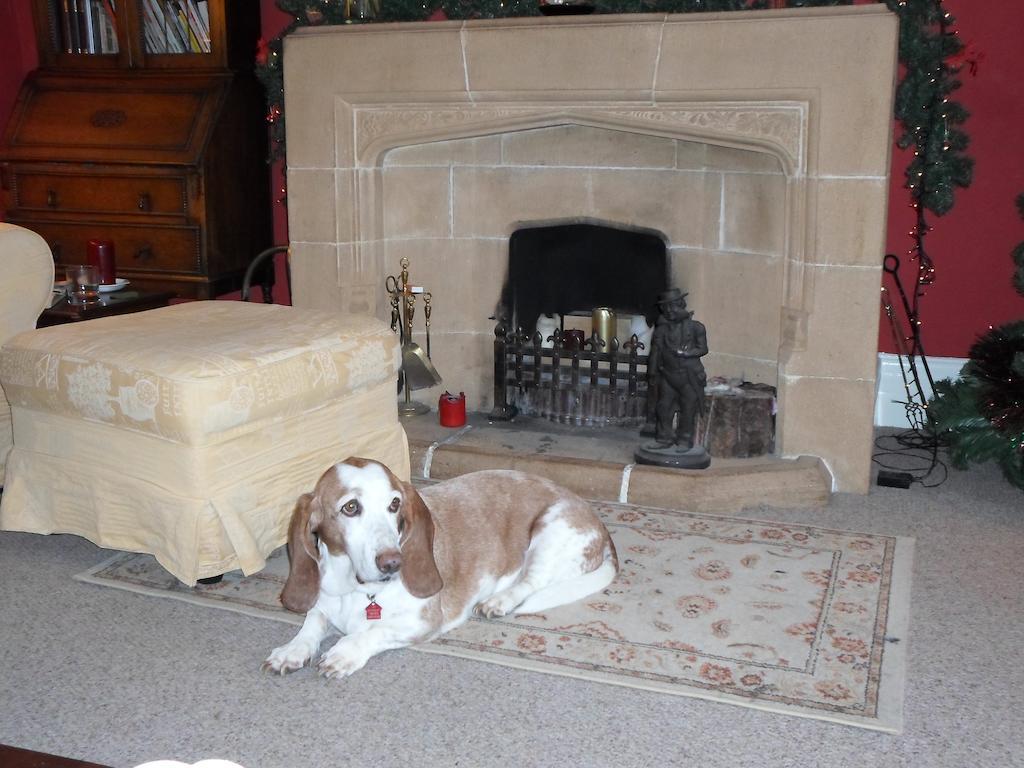 The Old Cider House Bed and Breakfast Nether Stowey Exterior foto